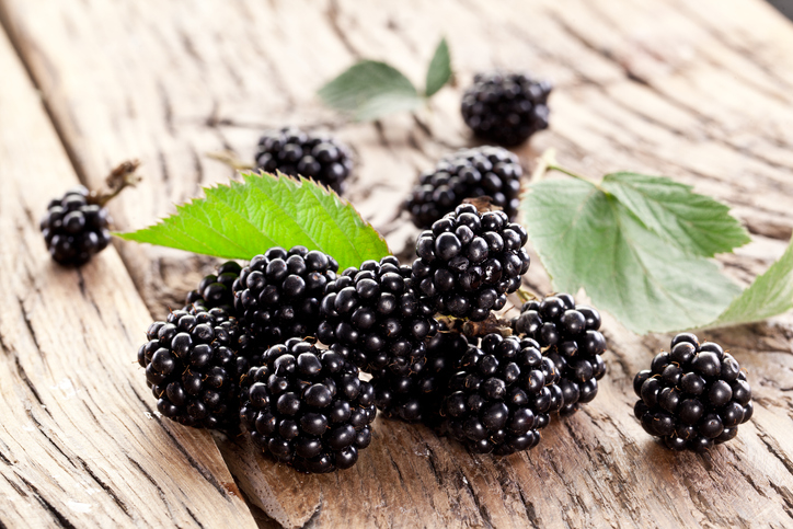 6 Health Benefits of Blackberries