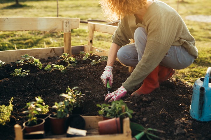 15 Gardening Tips for Beginners