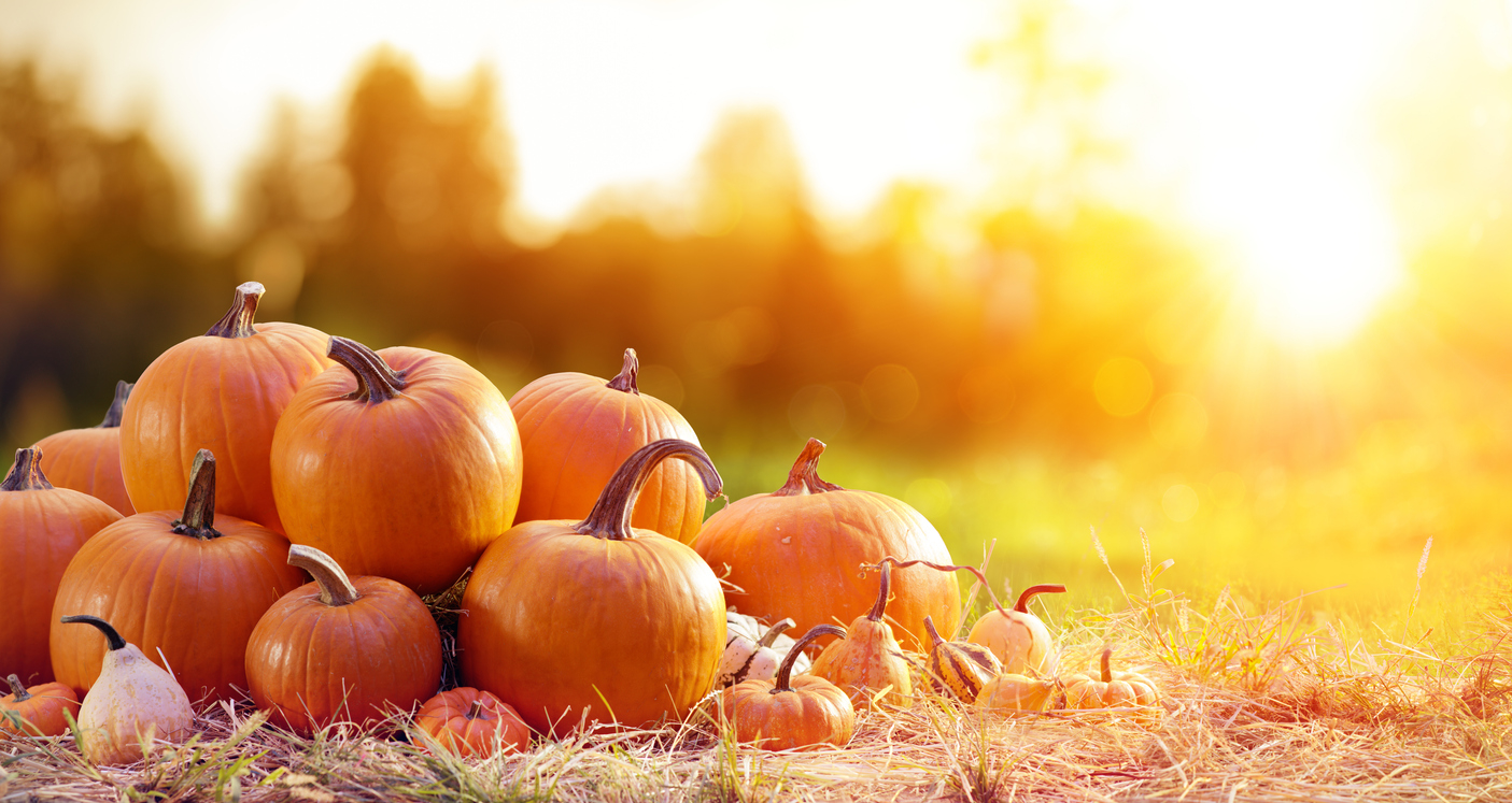 Health Benefits of Pumpkin